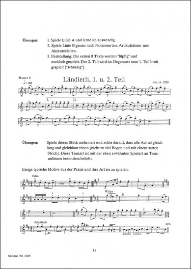 Die Geige in der Appenzellermusik